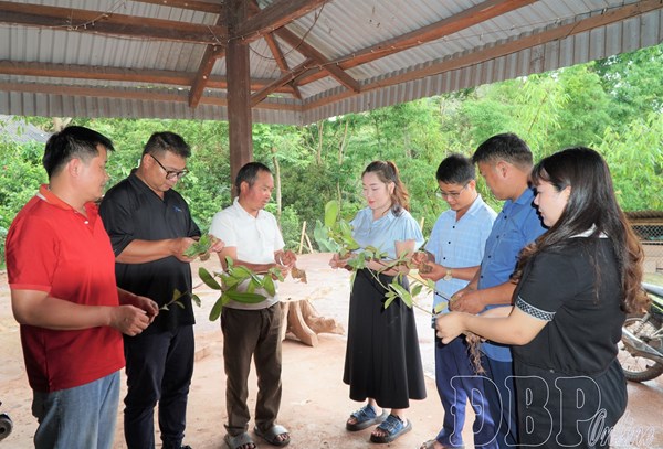 Điện Biên: An sinh xã hội tạo động lực cho phát triển bền vững